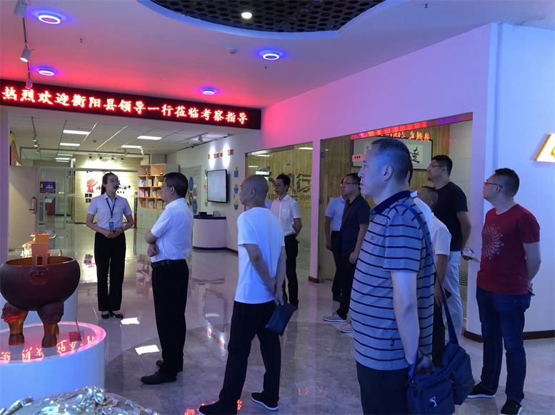 湖南省衡阳县常务副县长王苏龙一行莅临9091美高梅集团调查财路大数据项目