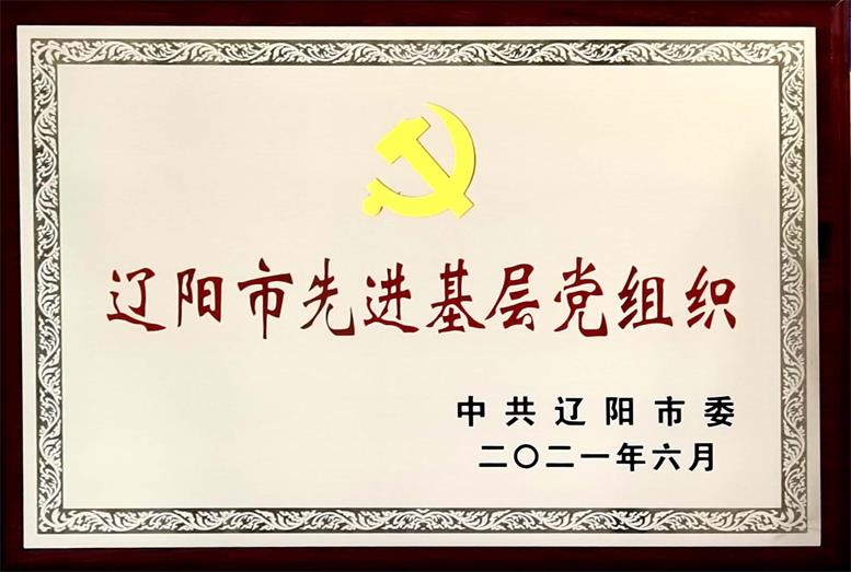 9091美高梅集团荣获“辽阳市先进基层党组织”称号